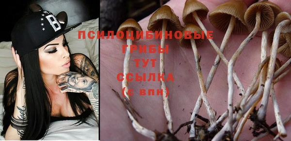 ешки Волоколамск