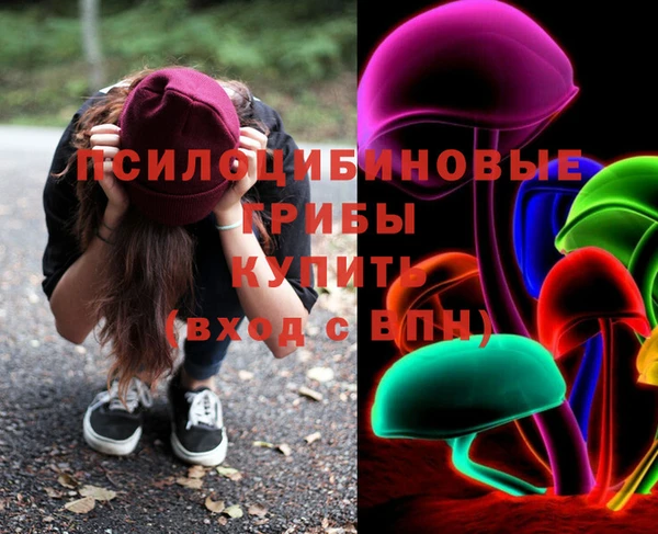 соль ск Волосово