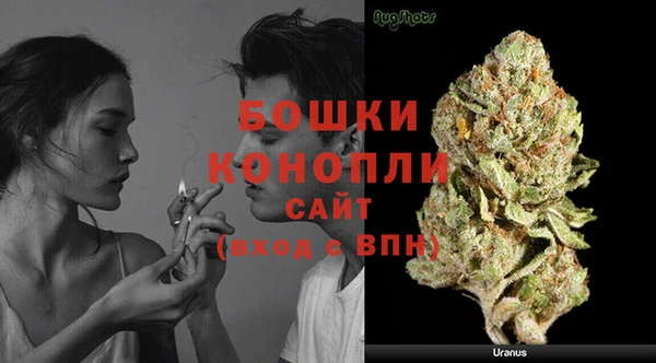 соль ск Волосово