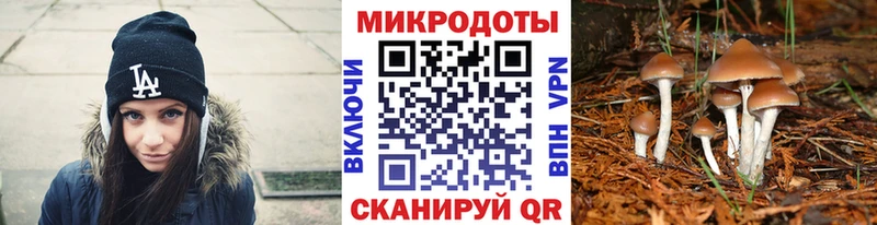 Купить где  Онега  Галлюциногенные грибы Cubensis 